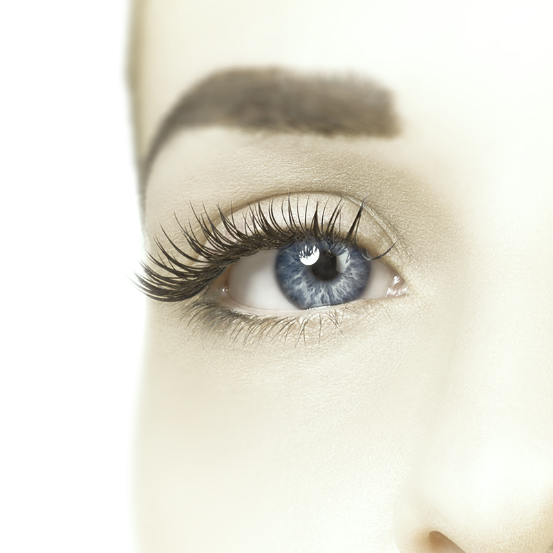 lashperfect6